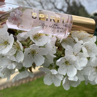 Choco Musk / شوكو مسك (Concentrated Perfume) - Al Rehab