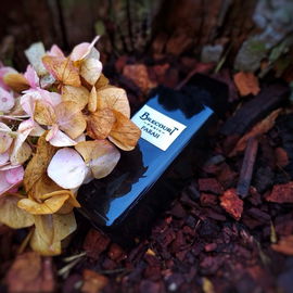 Farah / Harâm (Eau de Parfum) - Brecourt