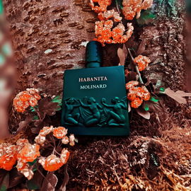 Habanita (2012) (Eau de Parfum) - Molinard