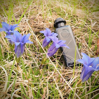 Leider bleue und nicht blanche.