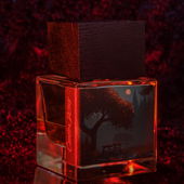 ig: kolinmarchand (by Kol)