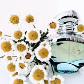 A personality behind the shy (by Lieselotte)