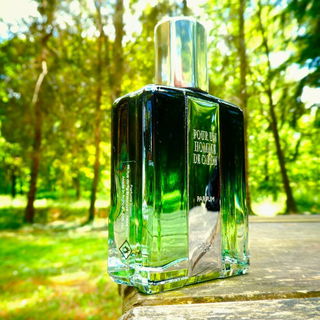Pour Un Homme de Caron (2005) (Parfum) / L'Impact de Pour Un Homme von Caron