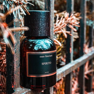 Spirito - Meo Fusciuni