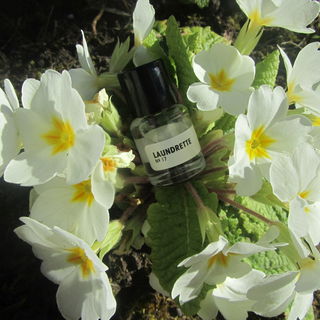 Rein und unverfälscht, lieblich und sauber duftend! Ein ausgesprochener Sauberduft mit ganz feiner Prägnanz. Weiß und kostbar im Aroma!