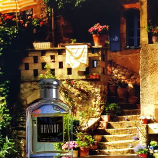 Havana (Eau de Toilette) - Aramis