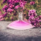 KLAUS (von ChopIsland)