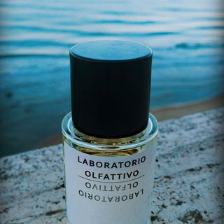 Das Meer - die Stille - die Hoffnung