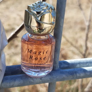 🌹🌞💙🥰 Die magische Duftrose besucht die Winterschläferrosen. Danke für Euren Besuch bei der Miniaturrose und mir. Ich freue mich sehr darüber. Ich wünsche Euch ein schönes und magisches Wochenende mit viel Sonnenschein. Hier in meiner Region erwachen ganz vorsichtig die Sternmagnolien. Liebe Grüße 🌹🌞💙🥰