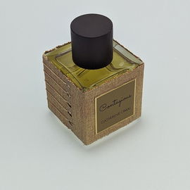 Contagious (Gold) - Catherine Omai