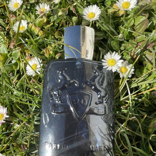 Sedley von Parfums de Marly