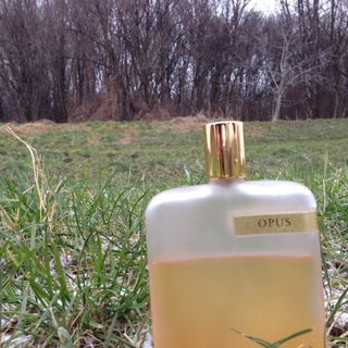 Opus I by Amouage