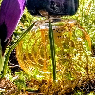 Casanova's ewiger Frühling 💜💚💛