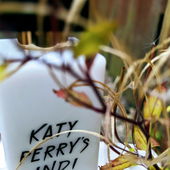 Indi all the way 🚗 (von Lieselotte)