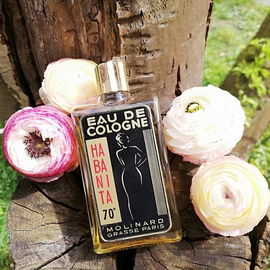 Habanita (1924) (Eau de Cologne) - Molinard