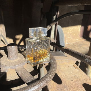 Lady Gold by Karen Low