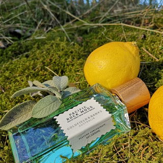 Marzocco (Eau de Parfum) - Roberto Ugolini