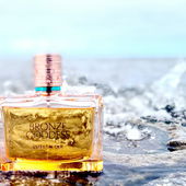 Wellenbrecher (von Ahoi)