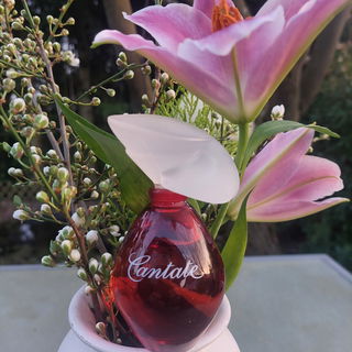 Cantate / Cantata (Parfum) von Yves Rocher