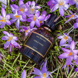 Auf meiner ersten Radl Tour zum Bio Bauern waren überall die schönen Blümchen. Und alle habe uns zugerufen, bitte macht ein Bild mit uns. :)