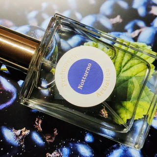 Notturno by Profumeria Artistica