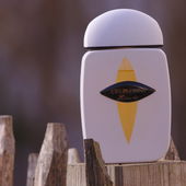 Dämmerung auf dem Gartenzaun (von Stanze)