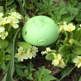 Sweet Delicious Tart Key Lime - DKNY / Donna Karan
