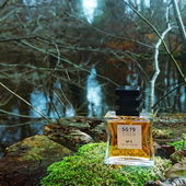 🩵 Ein kalter, klarer Wintertag im Norden 🩵 Lieben Dank für Eure Besuche 🥰 (by MadameLegras)