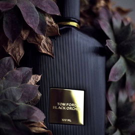 Russian Leather (Eau de Parfum) - Memo Paris