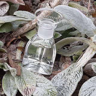 ❄💙❄...Winterruhe...❄💙❄