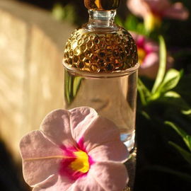 Aqua Allegoria Flora Rosa - Guerlain