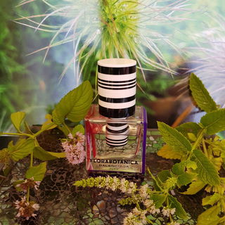 Molecule 01 - Escentric Molecules