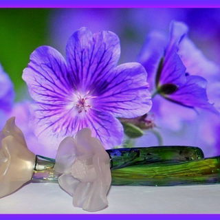 Anaïs Anaïs Flower Edition - Cacharel