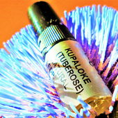 Psychedelic Flower (by Floyd)