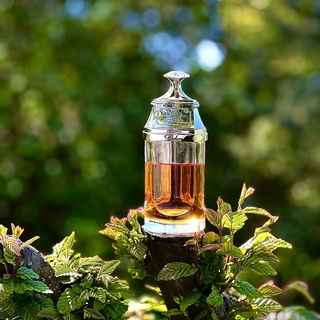 Haibah - The Spirit of Dubai