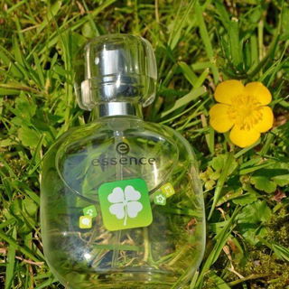 Luck - essence