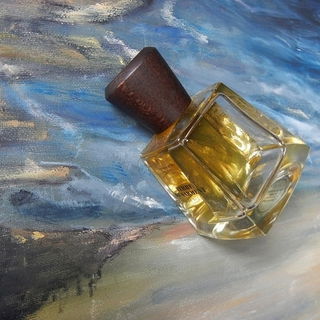 Terre de Sarment - Frapin