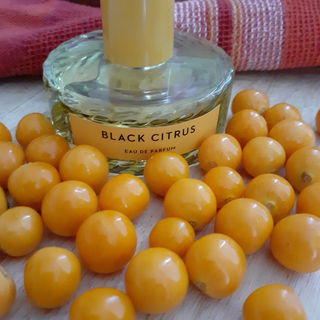 Black Citrus - Vilhelm Parfumerie