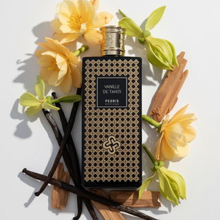 Oud Aquilaria - Omanluxury