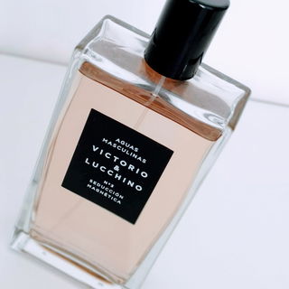 N°3 Seducción Magnética - Victorio & Lucchino