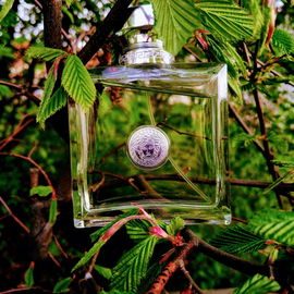 Versense in der Buchenhecke