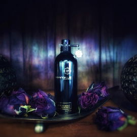 Black Aoud - Montale