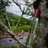 Am Ufer des Kinglas Water, der Wald war zwar nicht weiß und eigentlich auch kein richtiger Wald - vielen Dank für eure lieben Worte! (von DrHildegard)