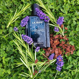 Wakening Woods of Scandinavia - 4711