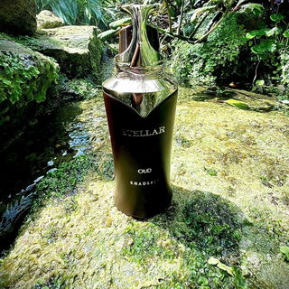 …📷🌍 Thank you. Danke schön. Merci beaucoup. Muchas gracias. Dōmo arigatō gozaimasu 💐…