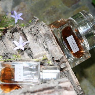 in meinem Garten aufgenommen :-)