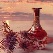 Ein besonderer Moment ... irgendwo zwischen Himmel und Erde ... 🧡 Lieben Dank für Eure Aufmerksamkeit 🥰 (von MadameLegras)