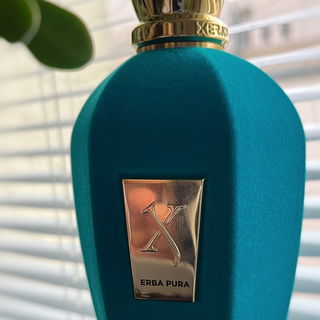 Erba Pura by Xerjoff