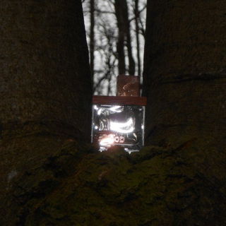 Thema: Holz, Wald... - passend zum Duft! Kompaktkamera Nikon Coolpix