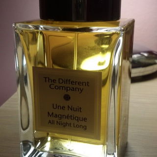 Une Nuit Magnétique - All Night Long by The Different Company